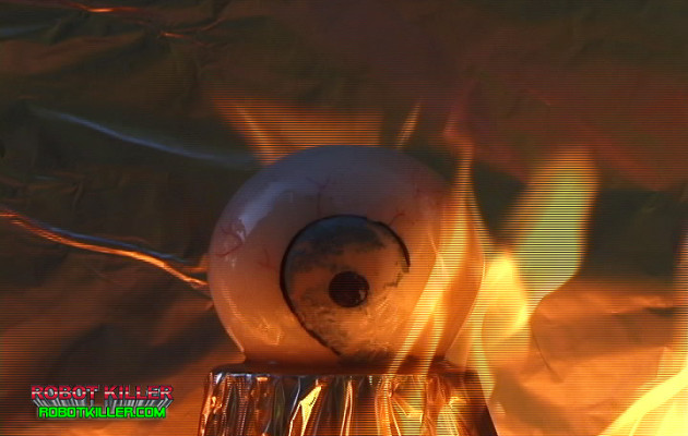 “#&^ #2LP% Cg{|$%, Terry Silver!”